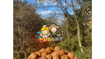 햇땅콩가격 착한 가격에 맛까지? 내돈내산 솔직 후기!