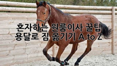 혼자하는 원룸이사 꿀팁🍯: 용달로 짐 옮기기 A to Z
